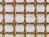 Squeezing machine mesh belt